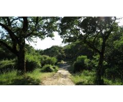 Finca de 160 ha. Cortijo, Casa Huéspedes, Naves, agua de manantiales