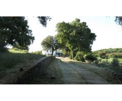 Finca de 160 ha. Cortijo, Casa Huéspedes, Naves, agua de manantiales