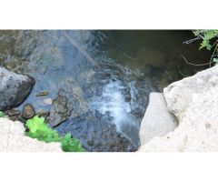 Finca de 160 ha. Cortijo, Casa Huéspedes, Naves, agua de manantiales