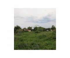 Finca para Reformar, Vistas al Mar, Estepona/Marbella