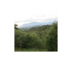 Finca para Reformar, Vistas al Mar, Estepona/Marbella