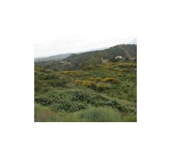Finca para Reformar, Vistas al Mar, Estepona/Marbella