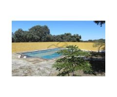 Finca con Vivienda, Naves, Olivar y Piscina