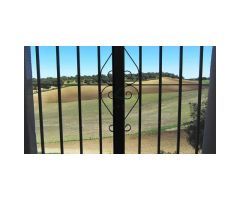 Finca con Vivienda, Naves, Olivar y Piscina