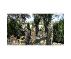 Finca con Vivienda, Naves, Olivar y Piscina