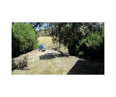 Finca con Vivienda, Naves, Olivar y Piscina