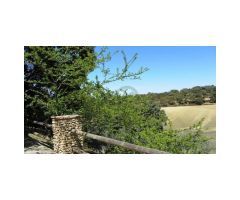 Finca con Vivienda, Naves, Olivar y Piscina