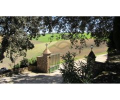 Finca con Vivienda, Naves, Olivar y Piscina