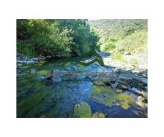Finca con Vega de 4 has Rio Genal