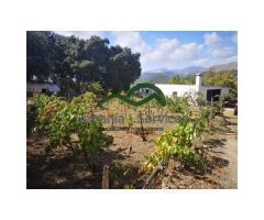 Finca 4 Has, Nave, Cuadras, Vistas