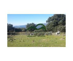 Finca, 44 h. con 3 Ruinas, Farajan