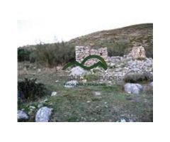 Finca, 44 h. con 3 Ruinas, Farajan