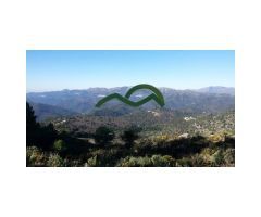 Finca, 44 h. con 3 Ruinas, Farajan