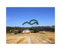Finca La Germana, Casa Restaurada, 15000m2 Terreno