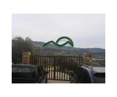Finca 3 Has, Viña, Olivos, Almendros