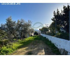 Serrania Services Inmobiliaria: Finca rústica con 6.500 metros de olivar