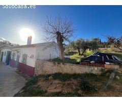 Serrania Services Inmobiliaria: Finca rústica con 6.500 metros de olivar