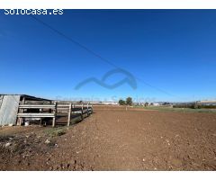 Serrania Services Inmobiliaria: Cortijo Andaluz en Antequera