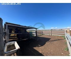 Serrania Services Inmobiliaria: Cortijo Andaluz en Antequera