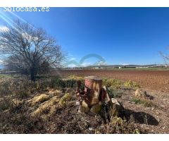 Serrania Services Inmobiliaria: Cortijo Andaluz en Antequera