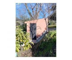 Serrania Services Inmobiliaria: Finca de Aguacates en Juzcar