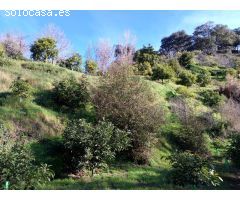 Serrania Services Inmobiliaria: Finca de Aguacates en Juzcar