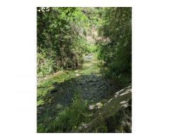 Serrania Services Inmobiliaria: Finca de Aguacates en Juzcar
