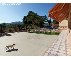 Inmaculada Villa en Monóvar