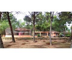 Finca Rústica en Monóvar