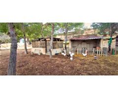 Finca Rústica en Monóvar