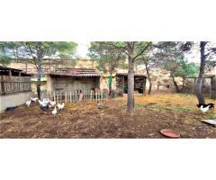 Finca Rústica en Monóvar