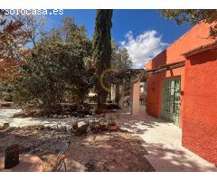Coqueta Casita Rural en Aspe