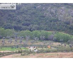 SE VENDE FINCA RUSTICA DE RECREO EN LA ZONA DE SAN VICENTE DE ALCANTARA
