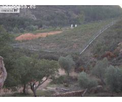 SE VENDE FINCA RUSTICA DE RECREO EN LA ZONA DE SAN VICENTE DE ALCANTARA