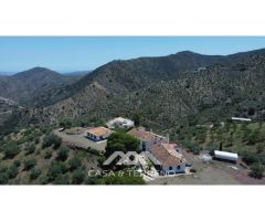 Se vende: Fincas, Comares, Málaga