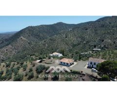 Se vende: Fincas, Comares, Málaga