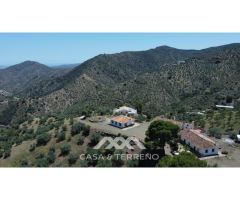 Se vende: Fincas, Comares, Málaga