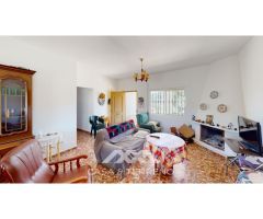 Se vende: Fincas, Comares, Málaga