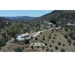 Se vende: Fincas, Comares, Málaga