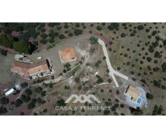 Se vende: Fincas, Comares, Málaga