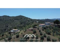 Se vende: Fincas, Comares, Málaga