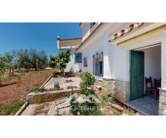 Se vende: Fincas, Comares, Málaga