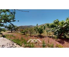 Se vende: Fincas, Comares, Málaga