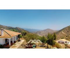 Se vende: Fincas, Comares, Málaga