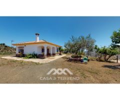 Se vende: Fincas, Comares, Málaga