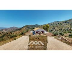 Se vende: Fincas, Comares, Málaga