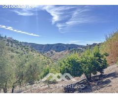 Encantadora Finca en Sedella, Bajo las Faldas de La Maroma