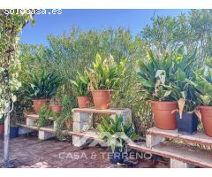 Encantadora Finca en Sedella, Bajo las Faldas de La Maroma
