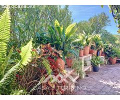 Encantadora Finca en Sedella, Bajo las Faldas de La Maroma