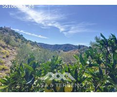 Encantadora Finca en Sedella, Bajo las Faldas de La Maroma